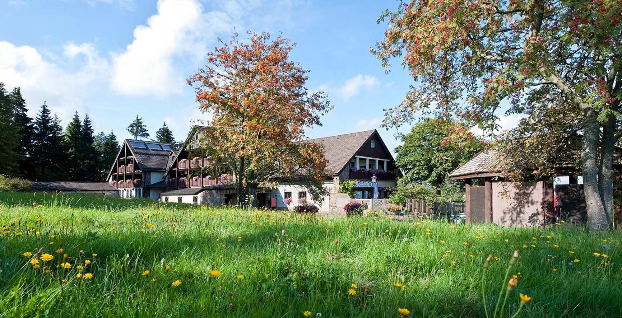 Wohnmobilstellplatz Gasthof Sennhütte — photo 4